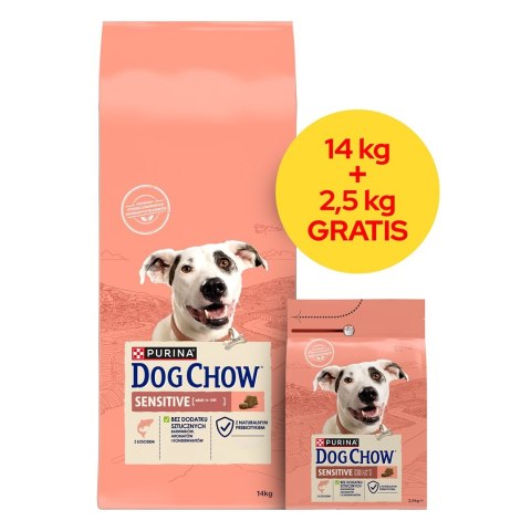 PURINA NESTLE PURINA DOG CHOW SENSITIVE Łosoś 14+2,5kg