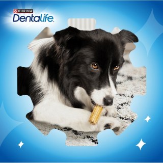 PURINA NESTLE PURINA Dentalife Extra Mini - przekąska dentystyczna dla psa - 69 g
