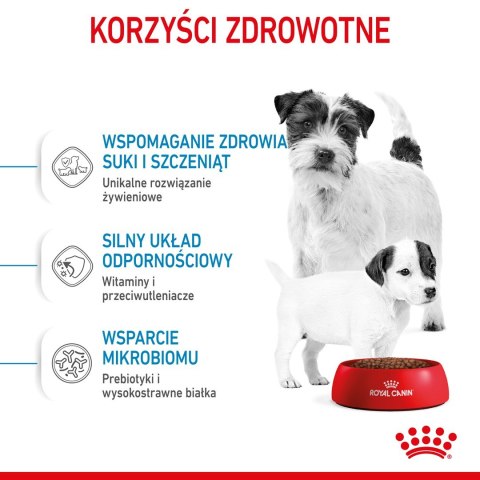 Royal Canin ROYAL CANIN SHN Mini Starter Mother & Babydog - sucha karma dla psa - 4 kg