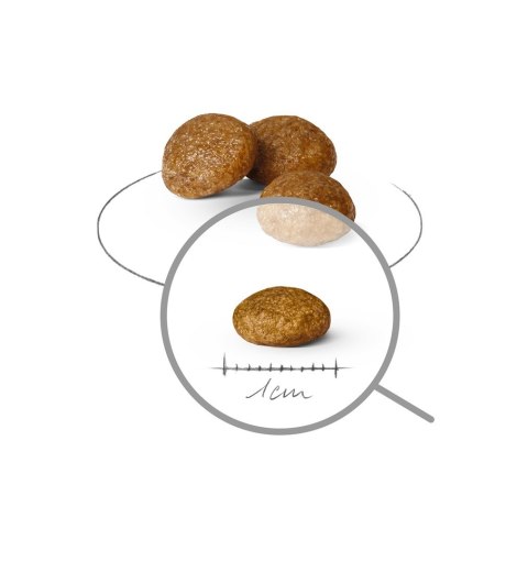 Royal Canin Royal Canin SHN Xsmall Adult 1.5kg