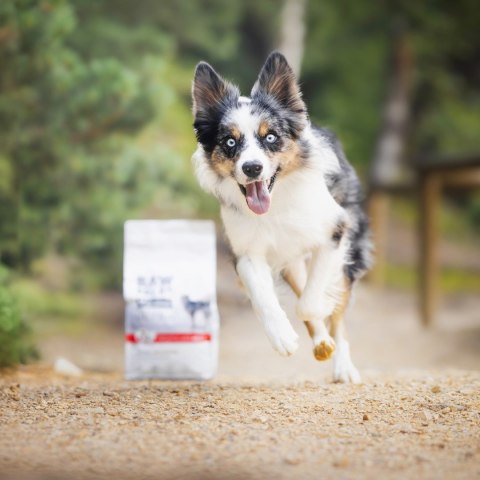 VetExpert VetExpert Raw Paleo Ultra Wołowina Medium&Large Adult 10kg