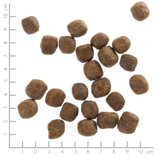 WOLFSBLUT WOLFSBLUT Cold River Adult trout/sweet pota. 12,5kg