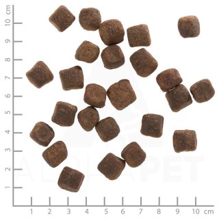 WOLFSBLUT WOLFSBLUT Dark Forest fierce/sweet potatos 12,5kg