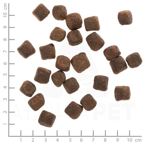 WOLFSBLUT WOLFSBLUT Dark Forest fierce/sweet potatos 12,5kg