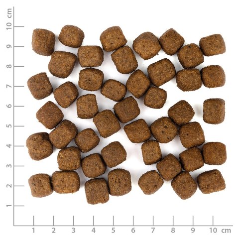 WOLFSBLUT WOLFSBLUT Grey Peak Adult goat/sweet potatos 12,5kg