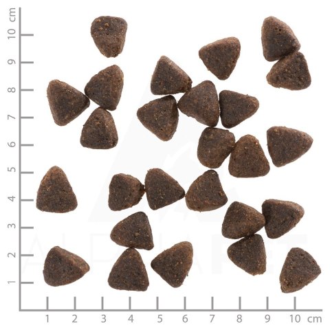 WOLFSBLUT WOLFSBLUT Jack Rabbit rabbit/vegetables 12,5kg