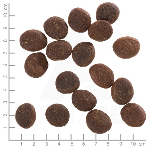 WOLFSBLUT WOLFSBLUT Polar Night Adult reindeer/pumpkin 12,5kg