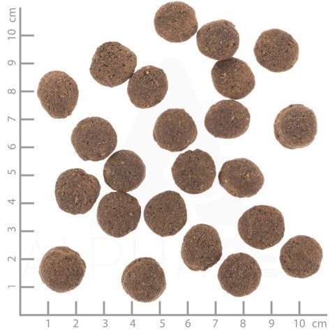 WOLFSBLUT WOLFSBLUT VETLINE HYPOALLERGENIC 12KG