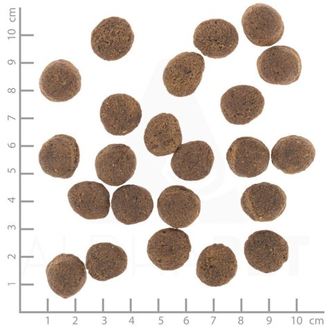 WOLFSBLUT WOLFSBLUT Vetline Gastrointestinal 2kg