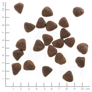 WOLFSBLUT WOLFSBLUT Wide Plain Adult horse/sweet potatos 2kg