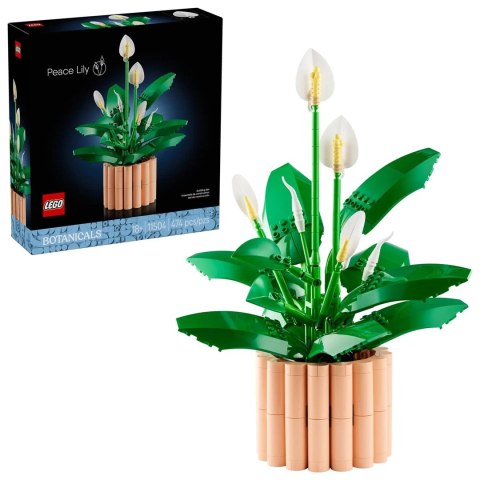 Lego LEGO Botanical 11504 Skrzydłokwiat w doniczce