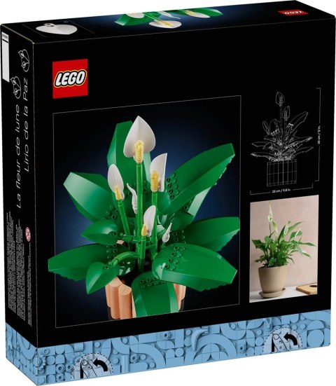 Lego LEGO Botanical 11504 Skrzydłokwiat w doniczce