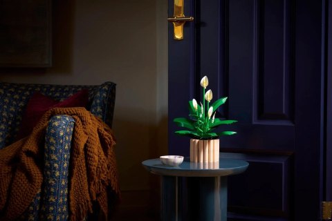 Lego LEGO Botanical 11504 Skrzydłokwiat w doniczce