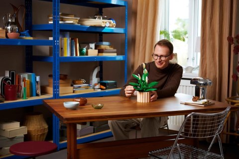 Lego LEGO Botanical 11504 Skrzydłokwiat w doniczce