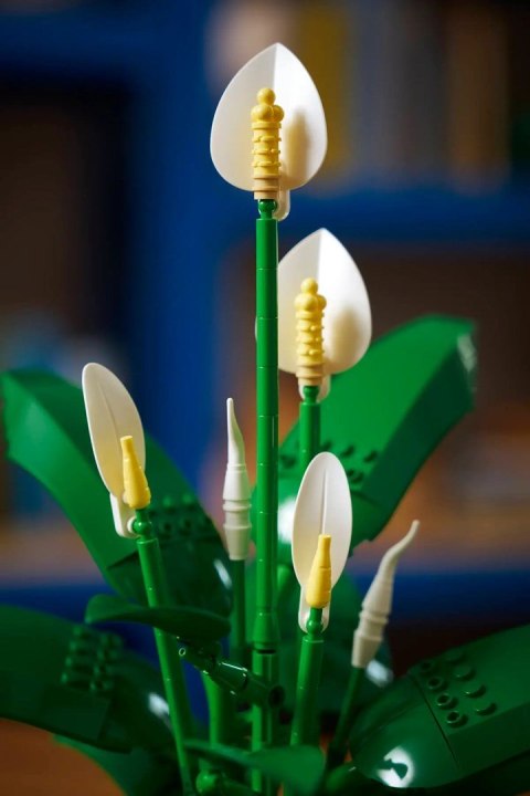 Lego LEGO Botanical 11504 Skrzydłokwiat w doniczce
