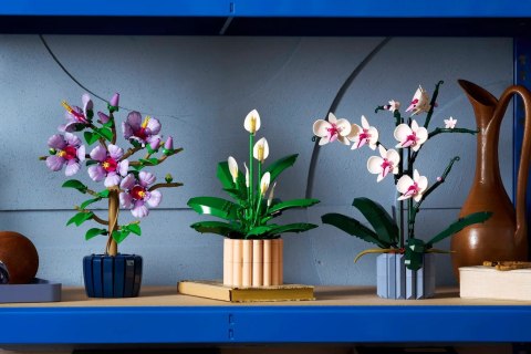 Lego LEGO Botanical 11504 Skrzydłokwiat w doniczce