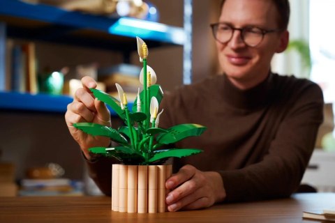 Lego LEGO Botanical 11504 Skrzydłokwiat w doniczce