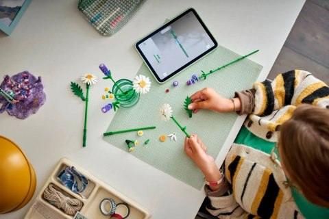 Lego LEGO Botanical 11508 Stokrotki i lawenda