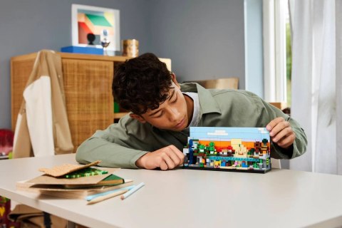 Lego LEGO Minecraft 21589 Miniaturowe biomy