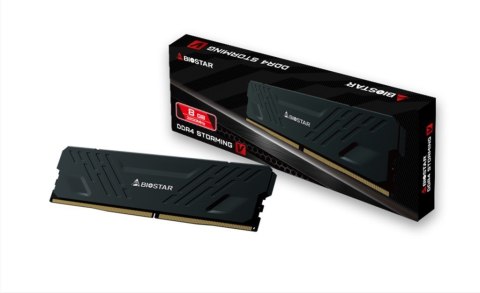 Biostar Pamięć DDR4 Biostar 8GB 3200MHz Heatsink Storming Vseries