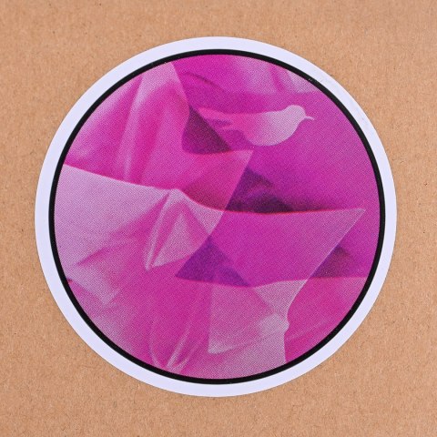 Hewlett-Packard Etui HP 15" Notebook Sleeve Rossignol Attraxion 633989-001