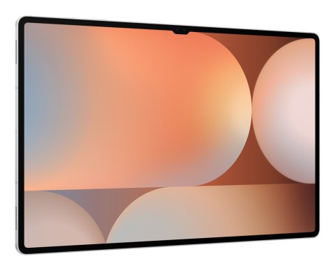 Samsung Samsung Galaxy Tab S10 Ultra (X926) WiFi+5G 12/512GB Silver