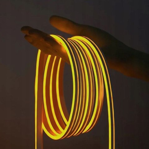 Vention Taśma LED Vention Silicone Neon z pilotem IR i zasilaczem DC 12V 5m