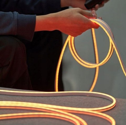 Vention Taśma LED Vention Silicone Neon z pilotem IR i zasilaczem DC 12V 5m