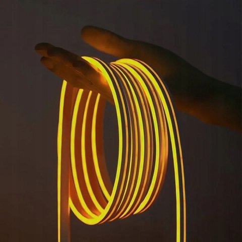 Vention Taśma LED Vention Silicone Neon z pilotem IR zasilanie USB 5V 2m