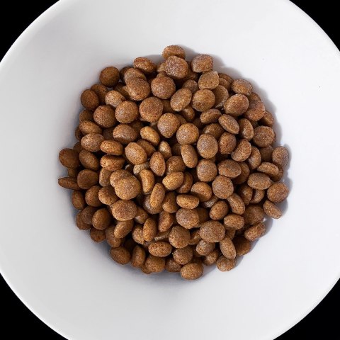 Vet Response VET HYPPOALERGENIC karma dla psa 8 kg