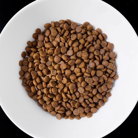 Vet Response VET RESPONSE GASTROINTESTINAL dla kota 400 g