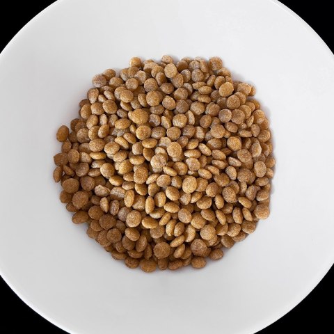 Vet Response VET RESPONSE HYPPOALERGENIC dla kota 1,6 kg