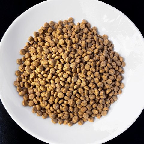 Vet Response VET RESPONSE WEIGHT-BALANCE dla kota 400 g