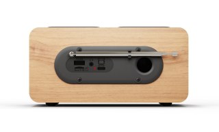 Blaupunkt Radio przenośne BLAUPUNKT DAB DR10CR