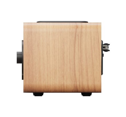 Blaupunkt Radio przenośne BLAUPUNKT DAB DR10CR