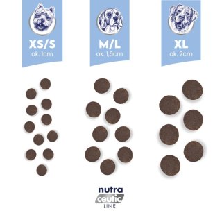 BALTICA BALTICA NUTRACEUTIC Hypoallergenic Fish & Rice Light L / XL 12kg