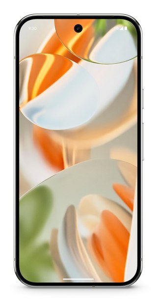 Google Smartfon Google Pixel 9 Pro 5G DS 16/128GB Porcelain (WYPRZEDAŻ)