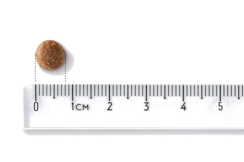 JOHN DOG John Dog GOOD FORM MAŁE RASY kurczak z wołowiną KARMA SUCHA 12kg