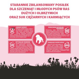 PUPIL PUPIL PREMIUM JUNIOR XL bogata w wołowinę 12kg