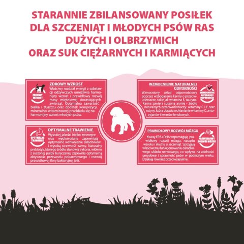 PUPIL PUPIL PREMIUM JUNIOR XL bogata w wołowinę 12kg