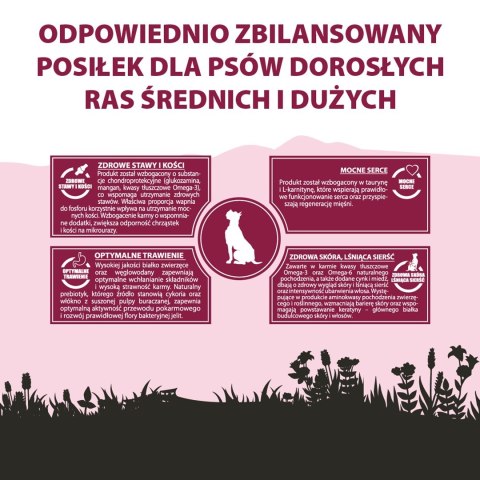 PUPIL PUPIL PREMIUM M&L bogata w wołowinę 12kg