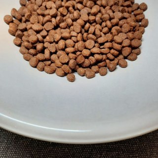 PUPIL PUPIL Prime Mini bogata w wołowinę wątróbką 1,4 kg