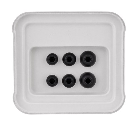 Apple Apple Powerbeats Fit Jet Black