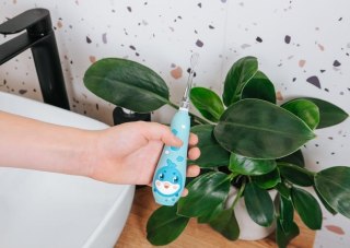 CONCEPT Szczoteczka soniczna niebieska ZK3020 CONCEPT