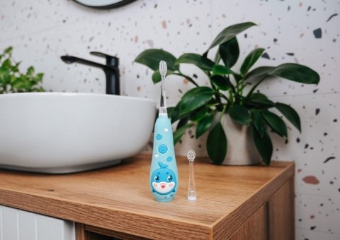 CONCEPT Szczoteczka soniczna niebieska ZK3020 CONCEPT