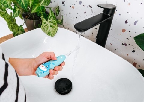 CONCEPT Szczoteczka soniczna niebieska ZK3020 CONCEPT