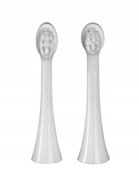 CONCEPT Szczoteczka soniczna różowa ZK6010 CONCEPT