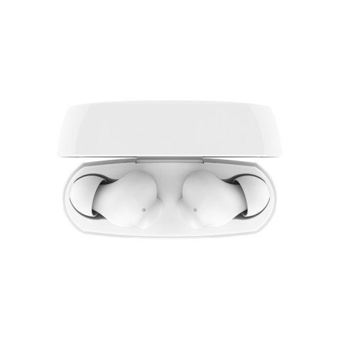BELKIN BEZPRZEWODOWE SOUNDFORM RHYTHM BT DOUSZNE BIAŁE BELKIN BEZPRZEWODOWE SOUNDFORM RHYTHM BT DOUSZNE BIAŁE
