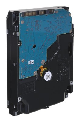 Synology Synology HDD Enterprise (12TB; 3.5