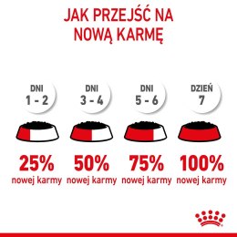 Royal Canin ROYAL CANIN FHN Kitten Sterilised w sosie - mokra karma dla kociąt - 12x85 g